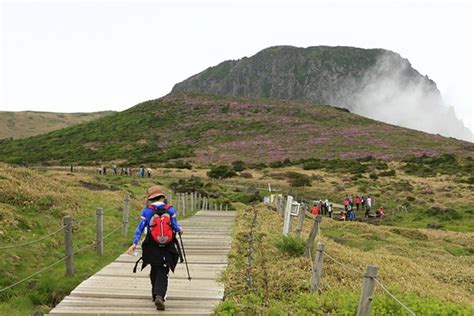 제주도 여행 필수코스: 바람의 향기를 따라가는 시간 여행